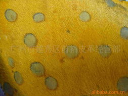 電子產品銷售 - 馬皮革產品列表 第21頁